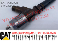 Diesel C6.6 Engine Injector 317-2300 2645A717 295-9130 326-4700 For Caterpillar Common Rail