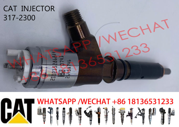 Diesel C6.6 Engine Injector 317-2300 2645A717 295-9130 326-4700 For Caterpillar Common Rail